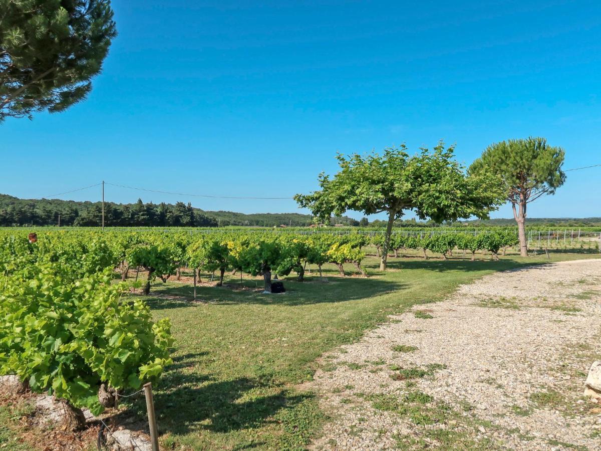 Holiday Home La Cardeline By Interhome Grillon Eksteriør bilde